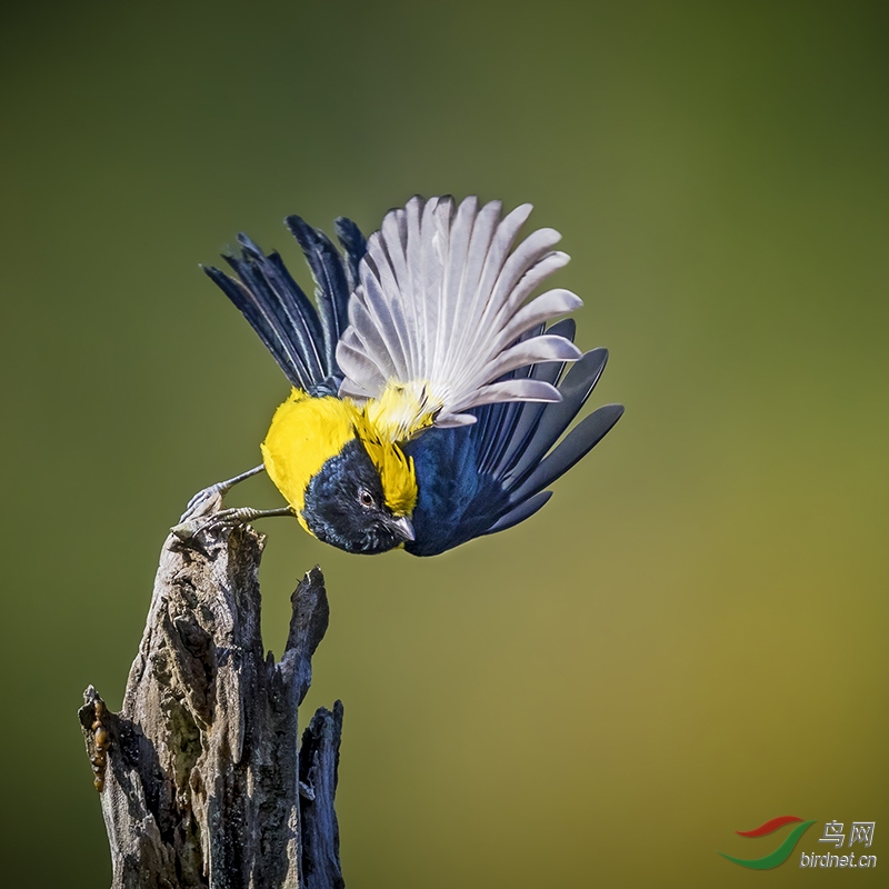 _U8A2588��ȸ-���.jpg
