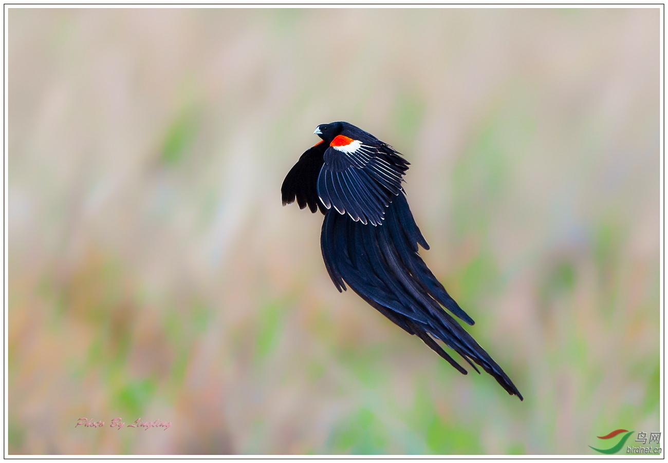 DSC_8897-0.jpg