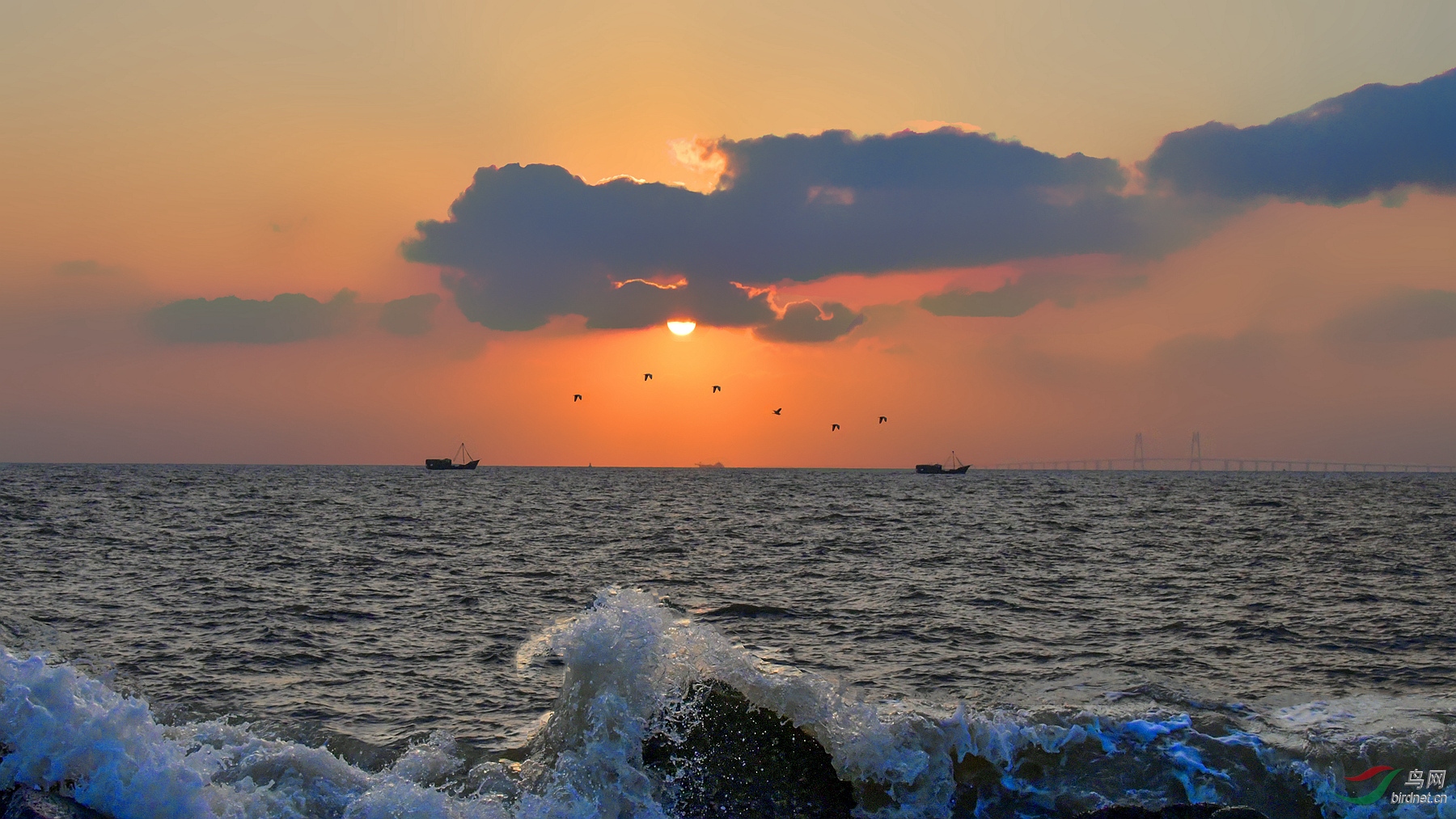 DSC_4723 (6)_����_����.jpg