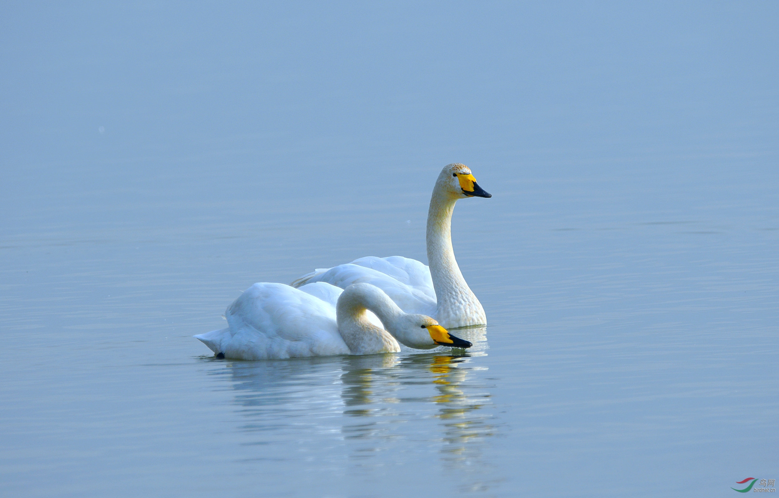 DSC_1930.jpg