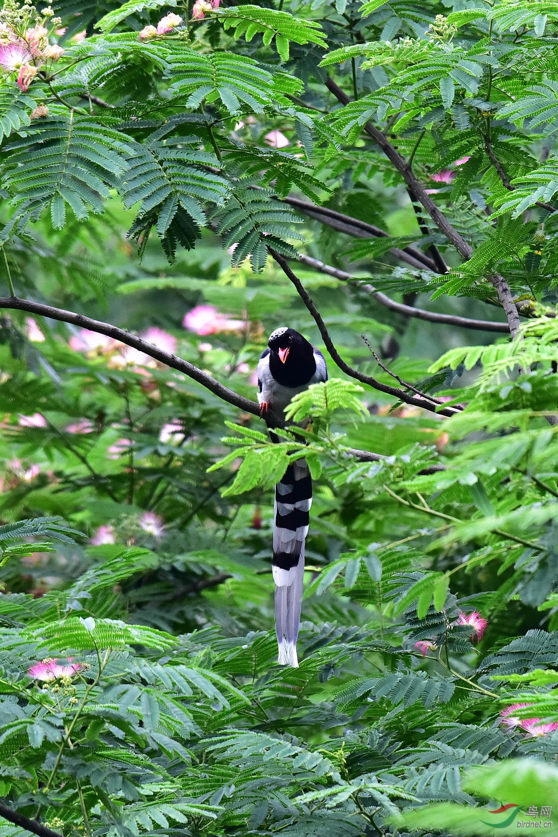 DSC_0937.JPG