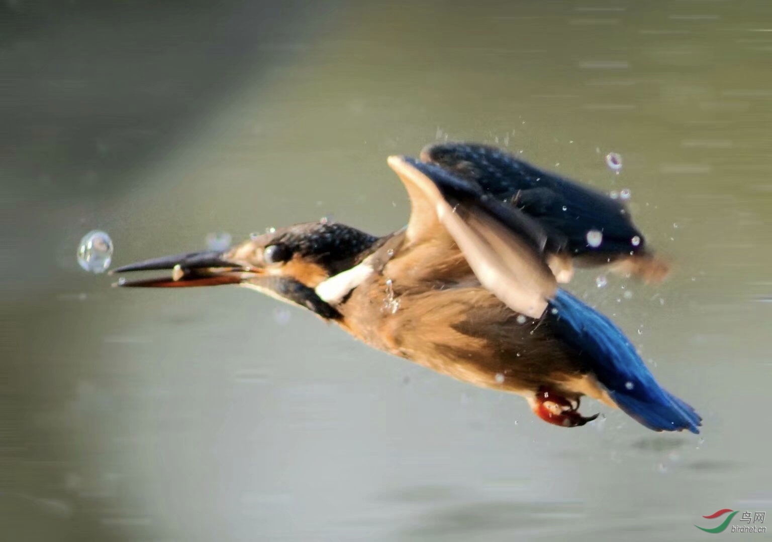 E73335C7-EF74-4D86-B98B-D0AB05674F8A.jpeg