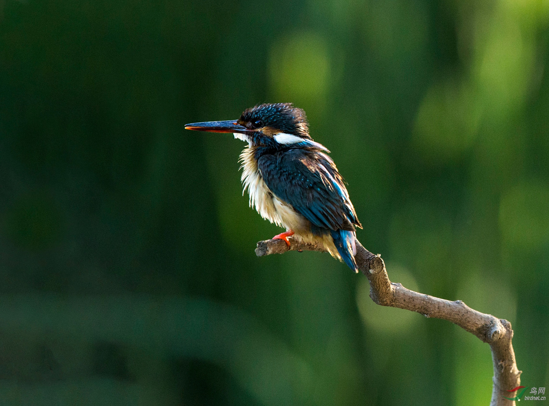 BW4Q2281 - ����.jpg