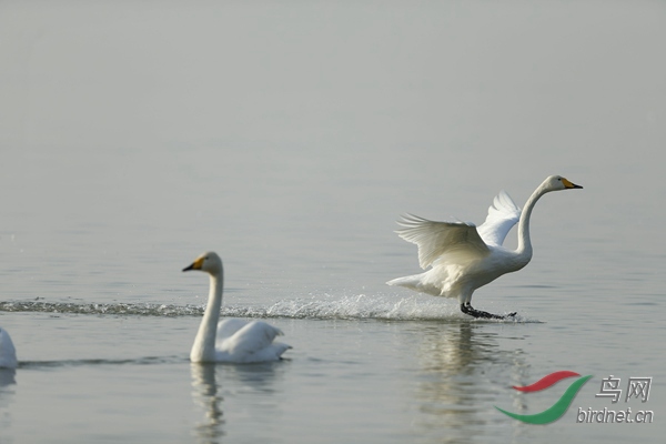 _E8J0905.jpg