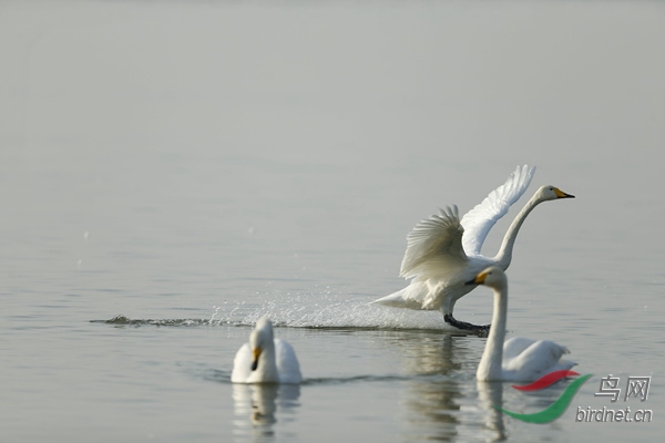 _E8J0903.jpg
