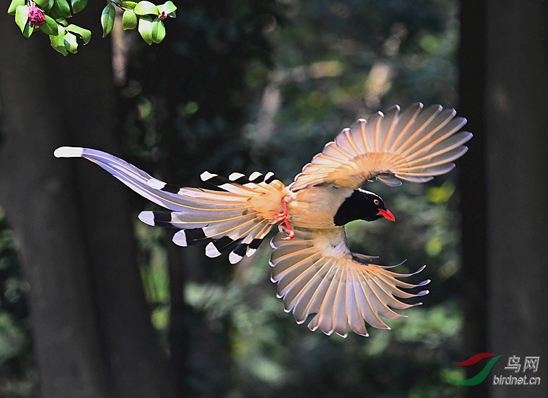 DSC_0131 (2)_����.jpg