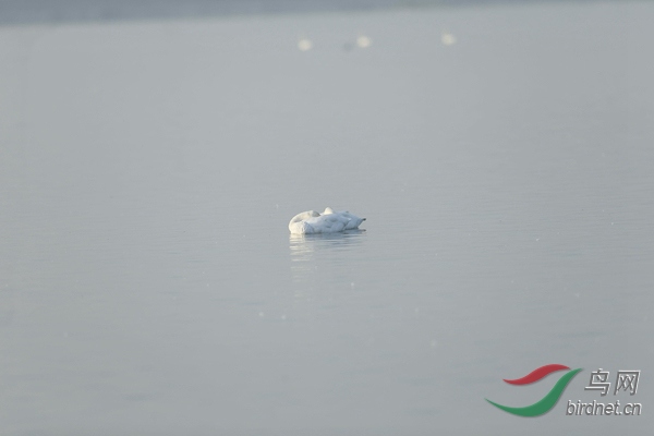 _E8J0371.jpg