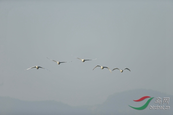 _E8J0485.jpg