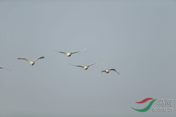 _E8J0496.jpg