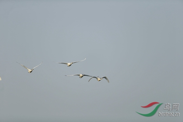 _E8J0493.jpg