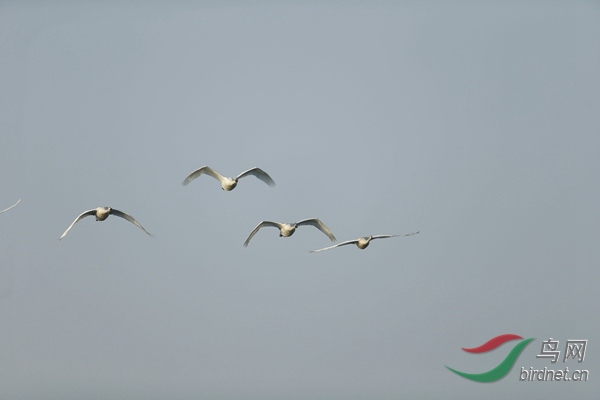 _E8J0498.jpg