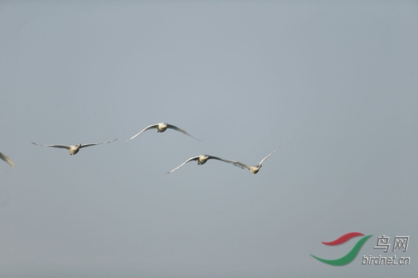 _E8J0497.jpg