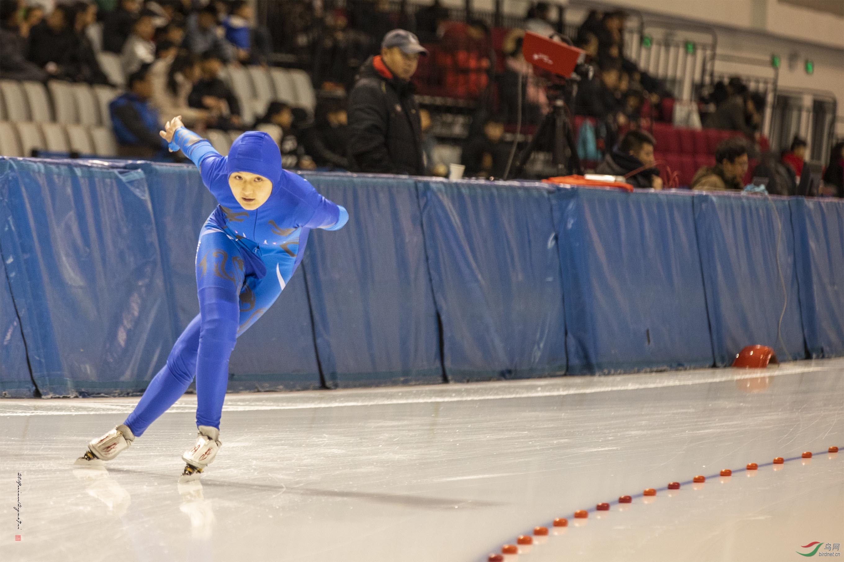 ��ʤ��������