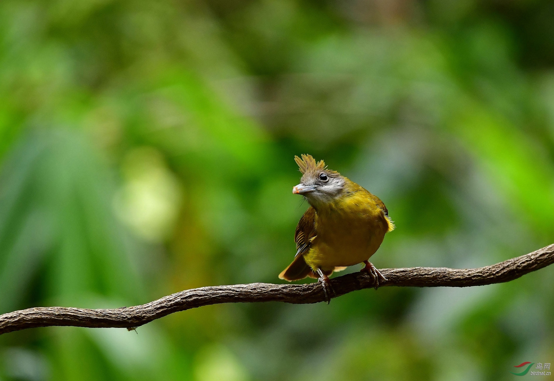 DSC_7116_����.jpg