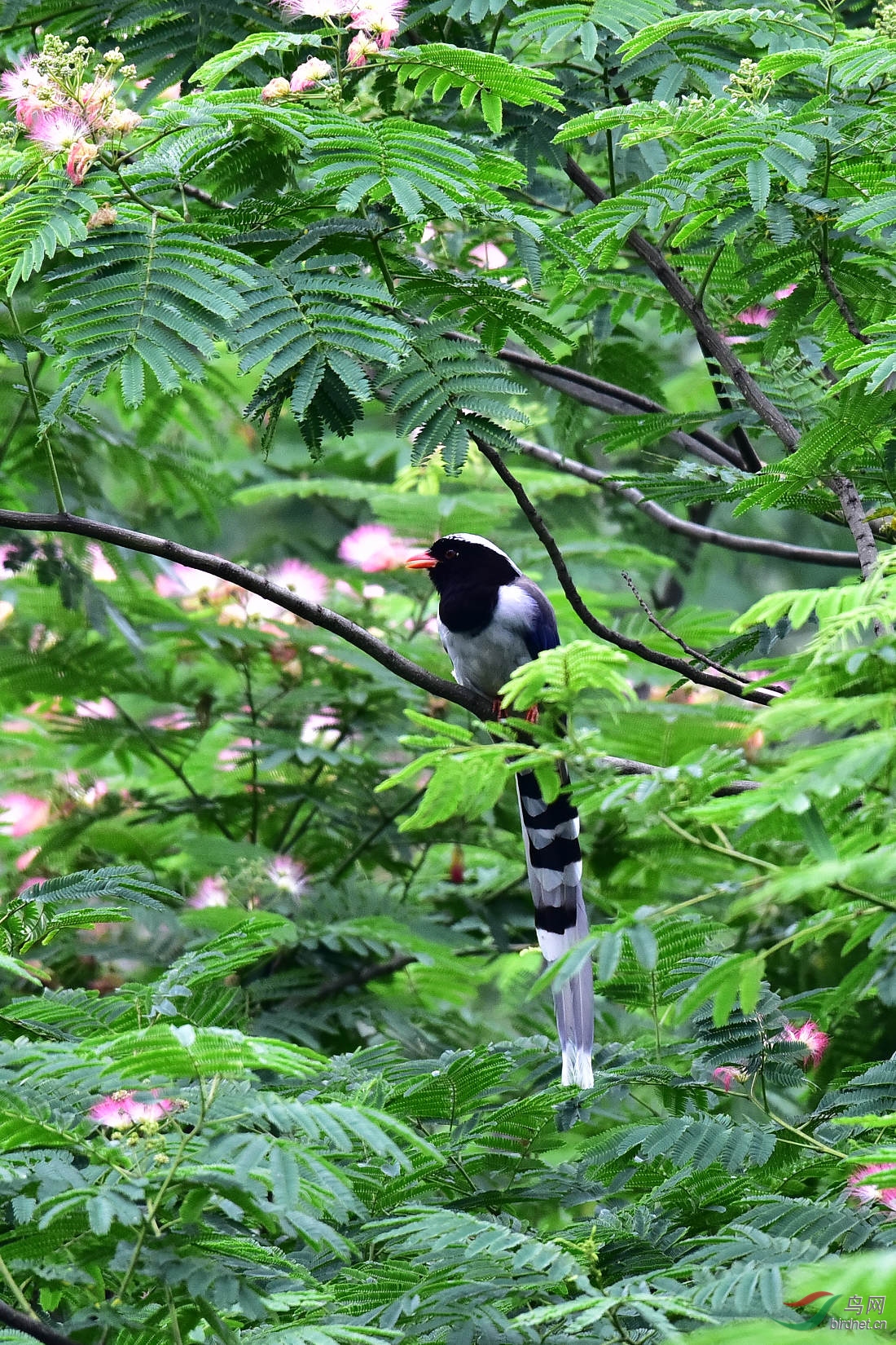 DSC_0942.JPG