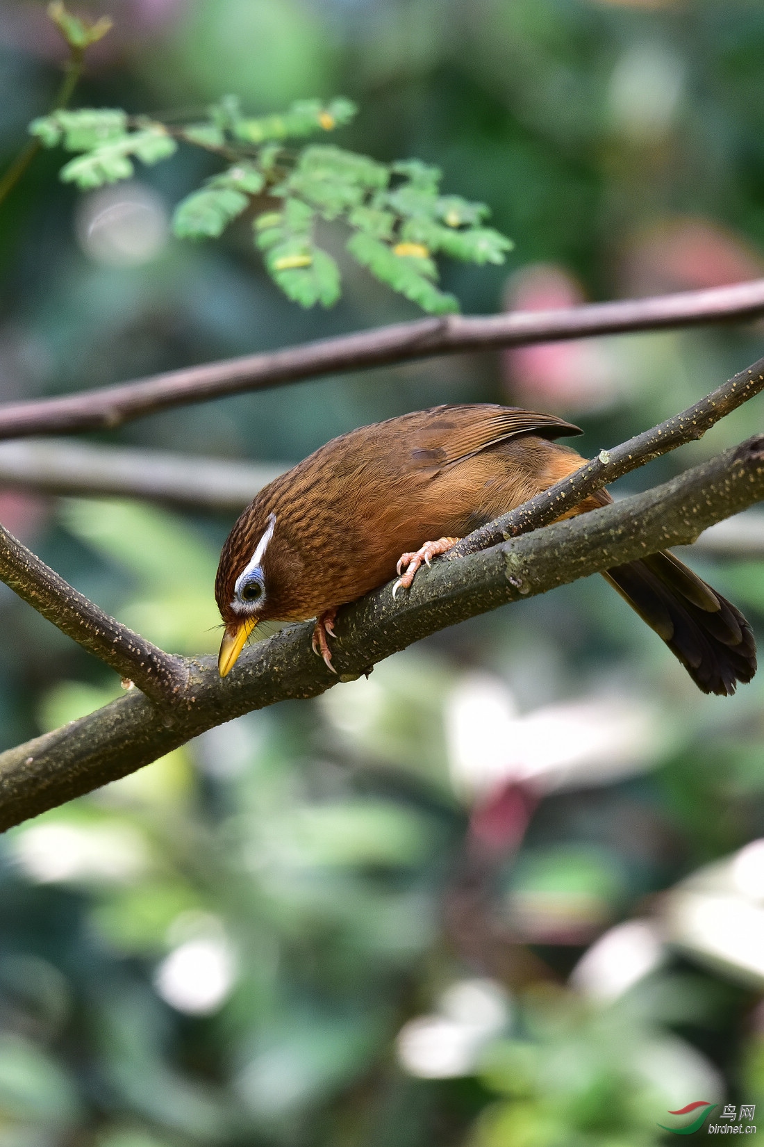 DSC_0511.JPG