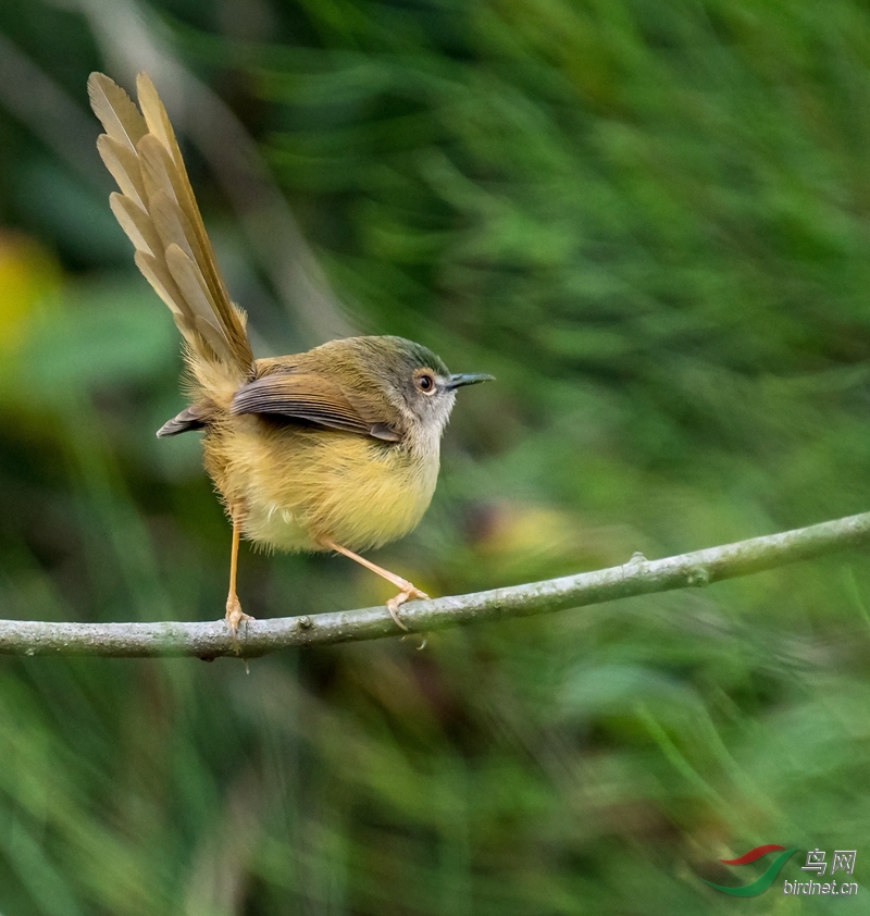 DSC_3892_����_����.jpg