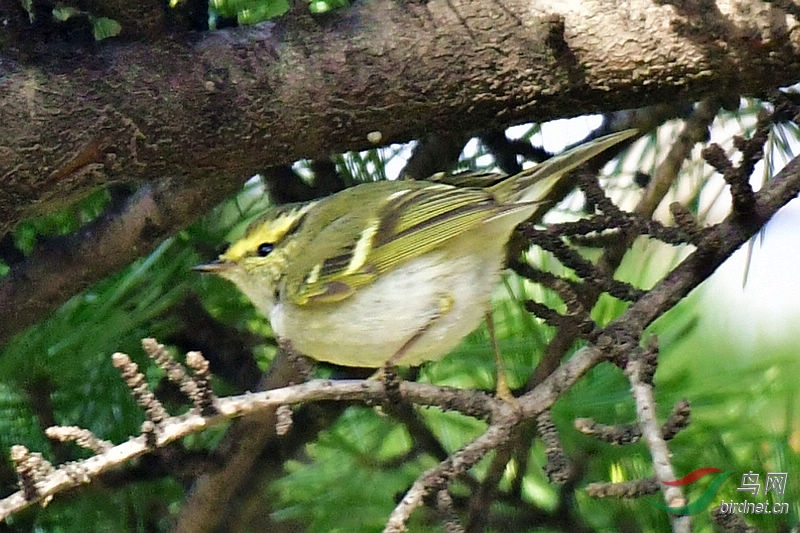 DSC_2610.jpg