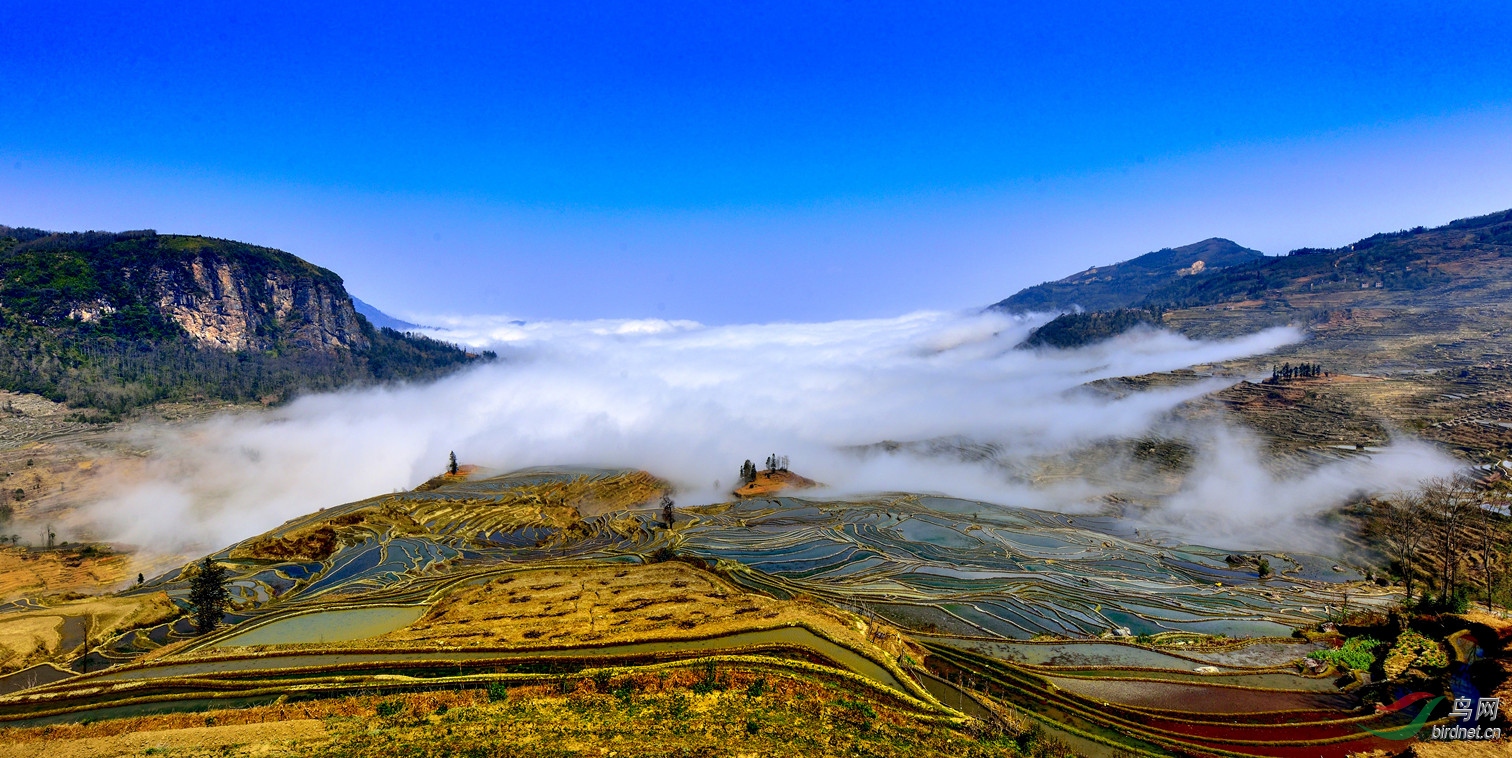 云海梯田