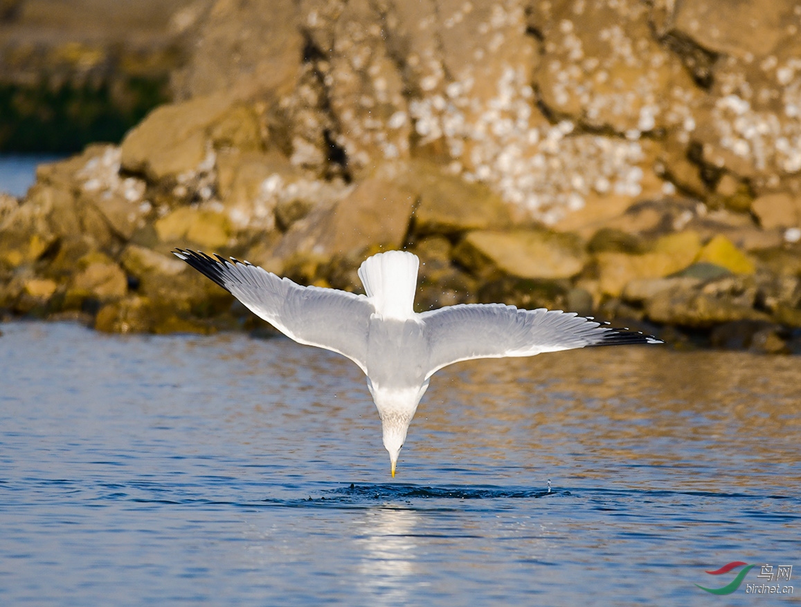 DSC_1726.JPG