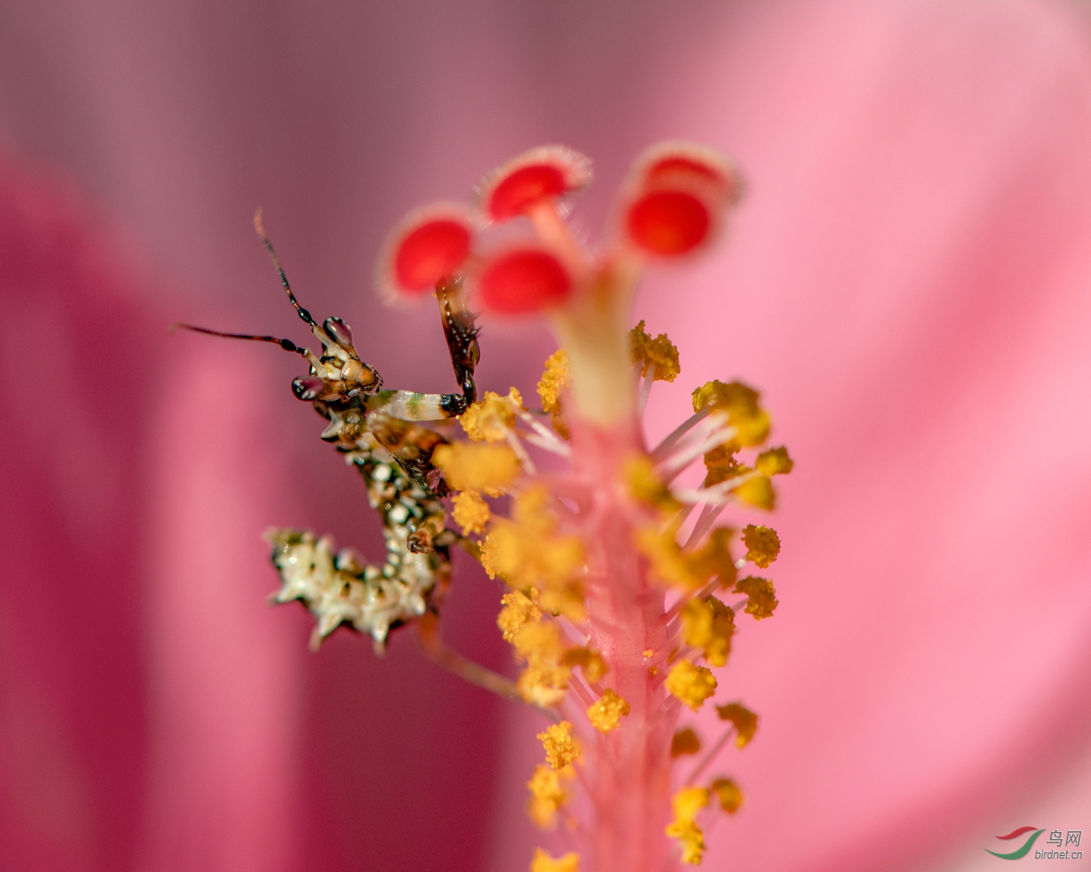 DSC_7009_����.jpg