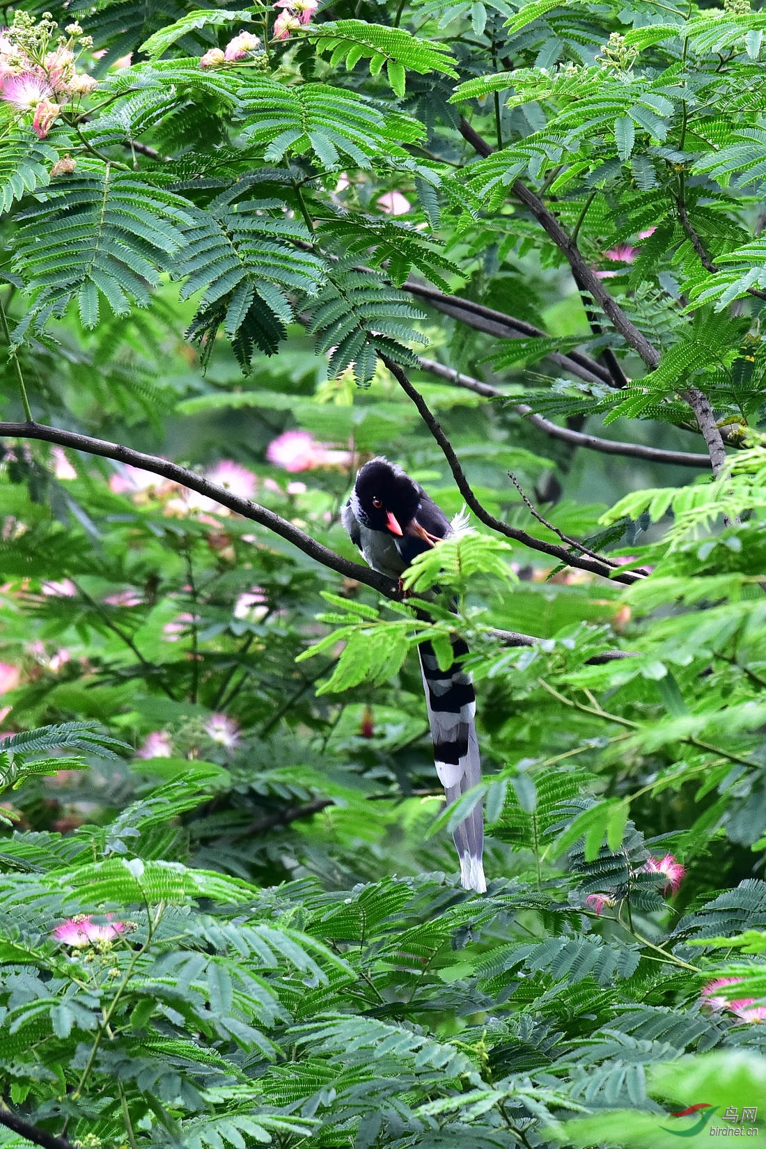 DSC_0943.JPG