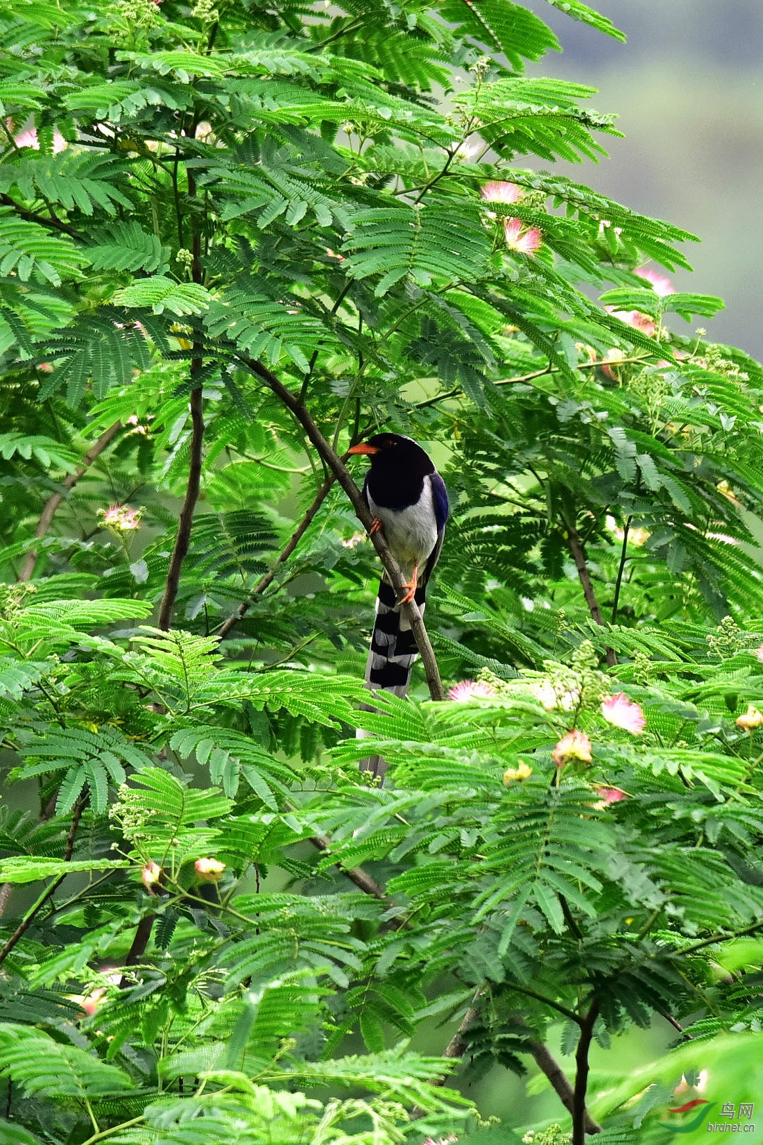 DSC_0945.JPG