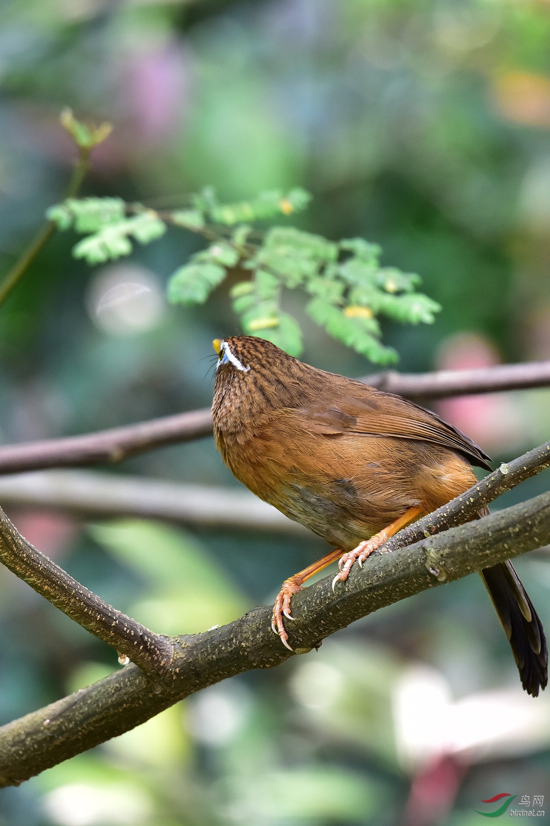 DSC_0519.JPG