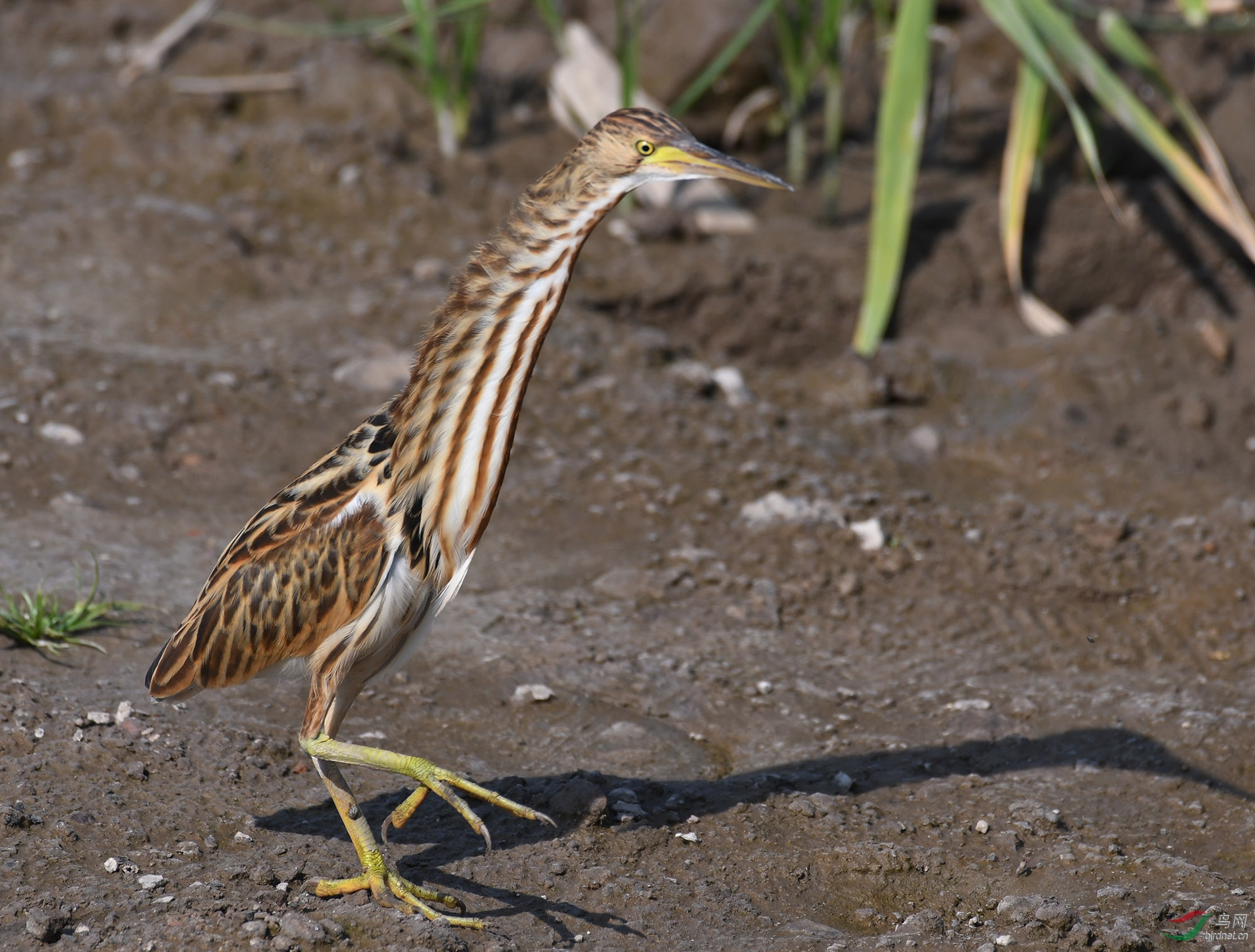 ������Ӱ 308����.jpg