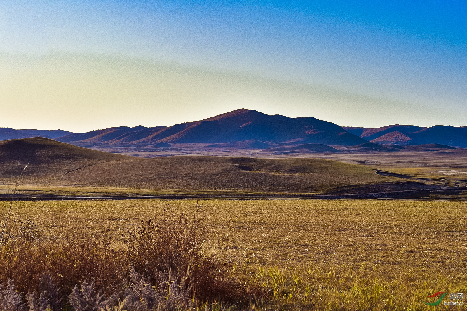 _D4S0266_9678a.jpg