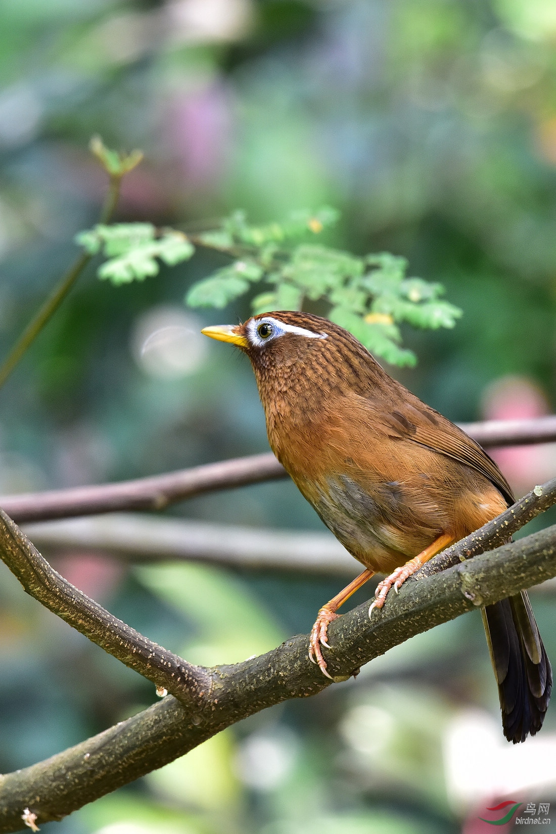 DSC_0522.JPG