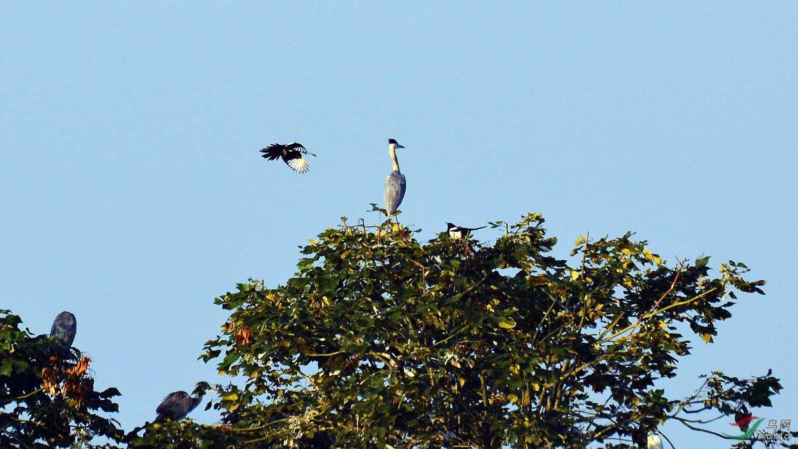 DSC_1433.JPG