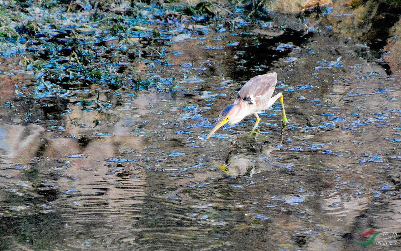 DSC_6770.JPG