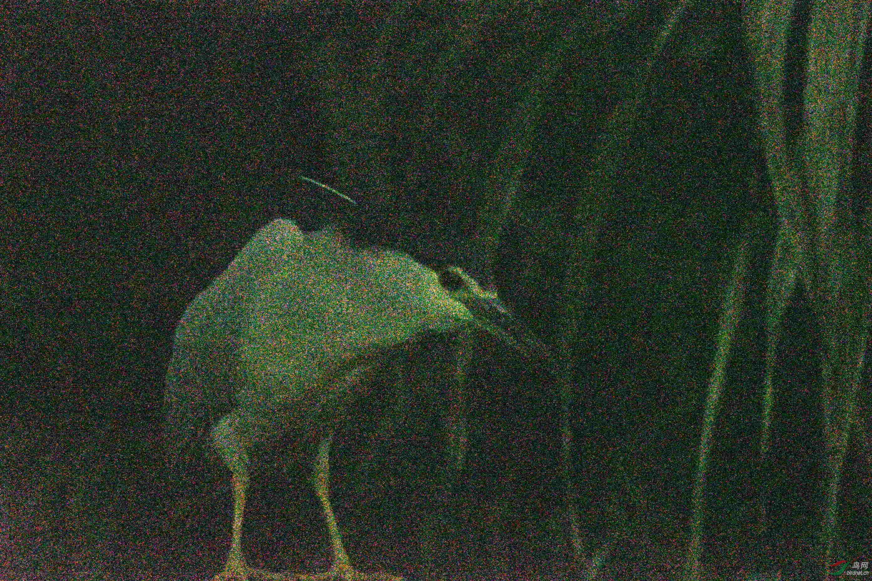 01.JPG