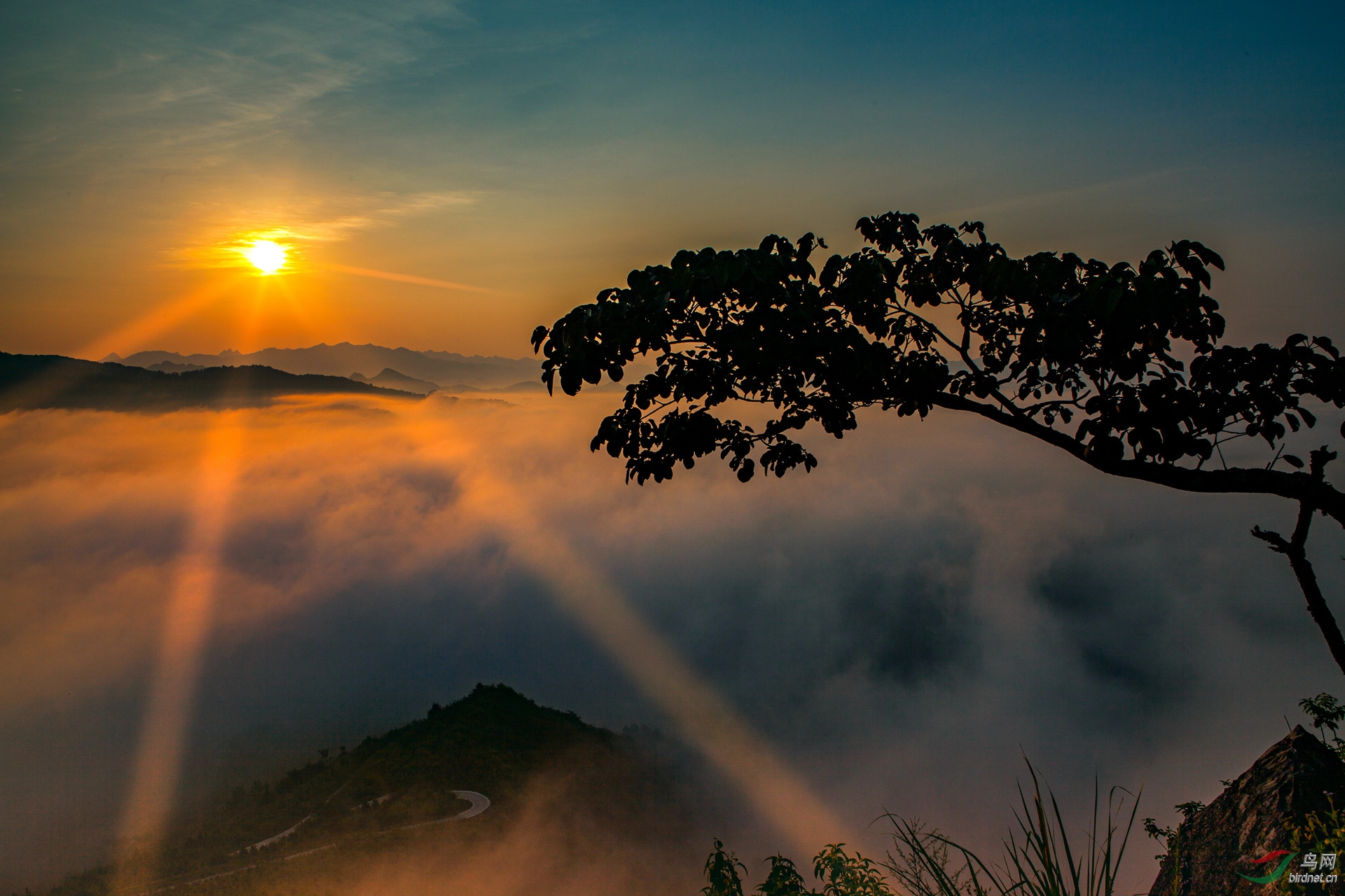 晨光与大雾(荣获首页精华)