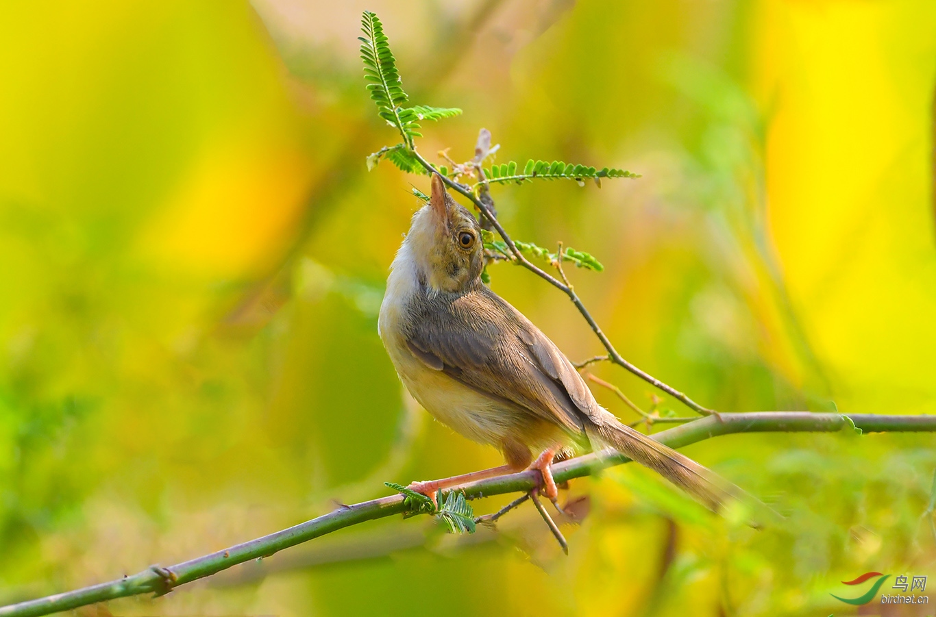 q (2) - ����.jpg