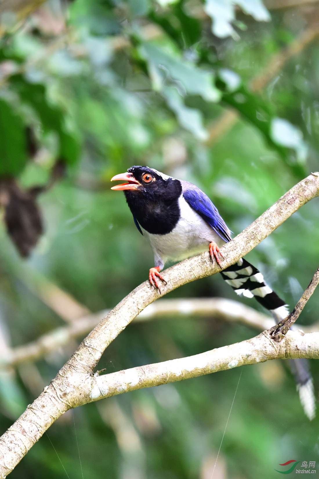 DSC_0964.JPG