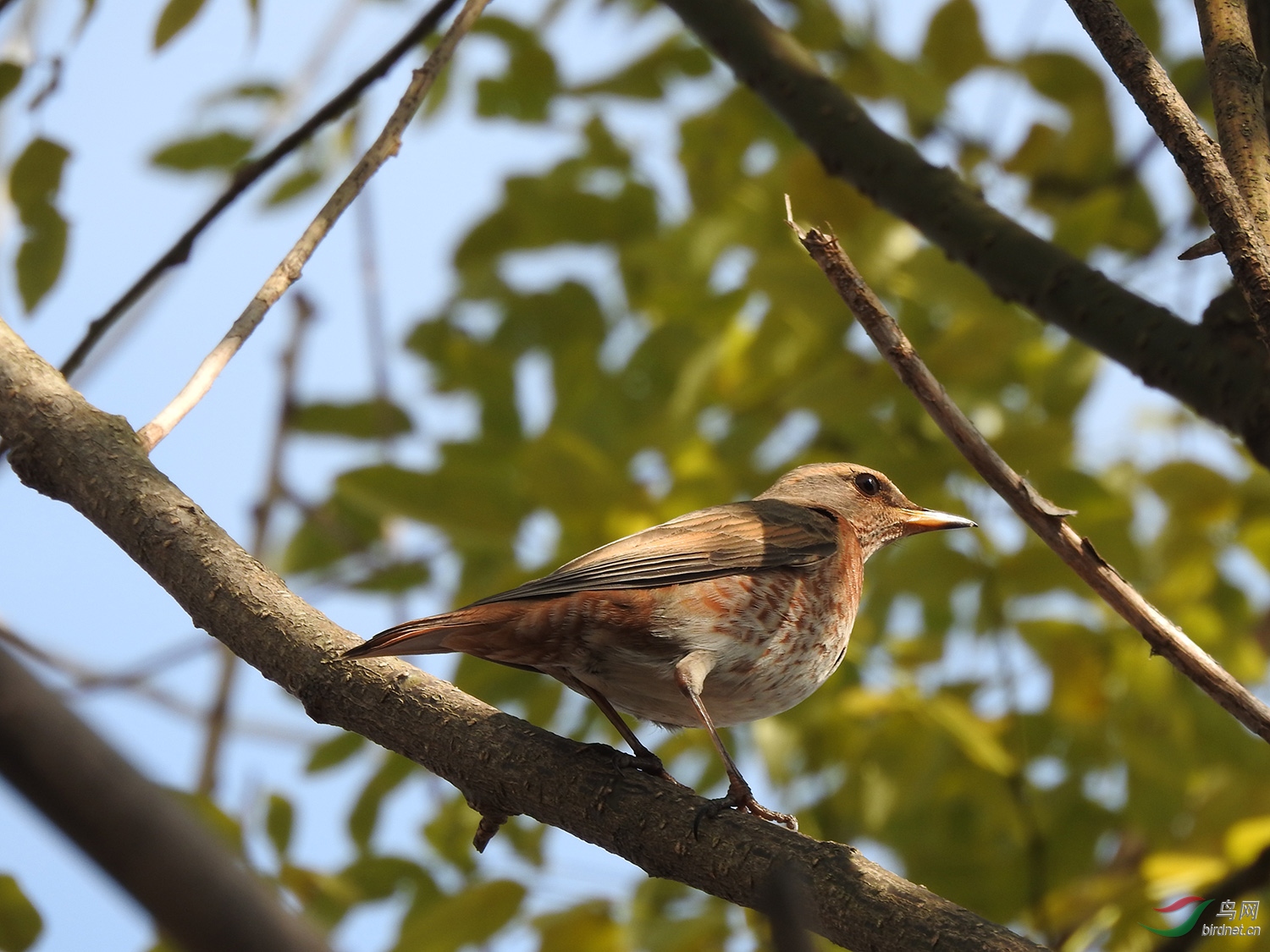 DSCN5576.jpg