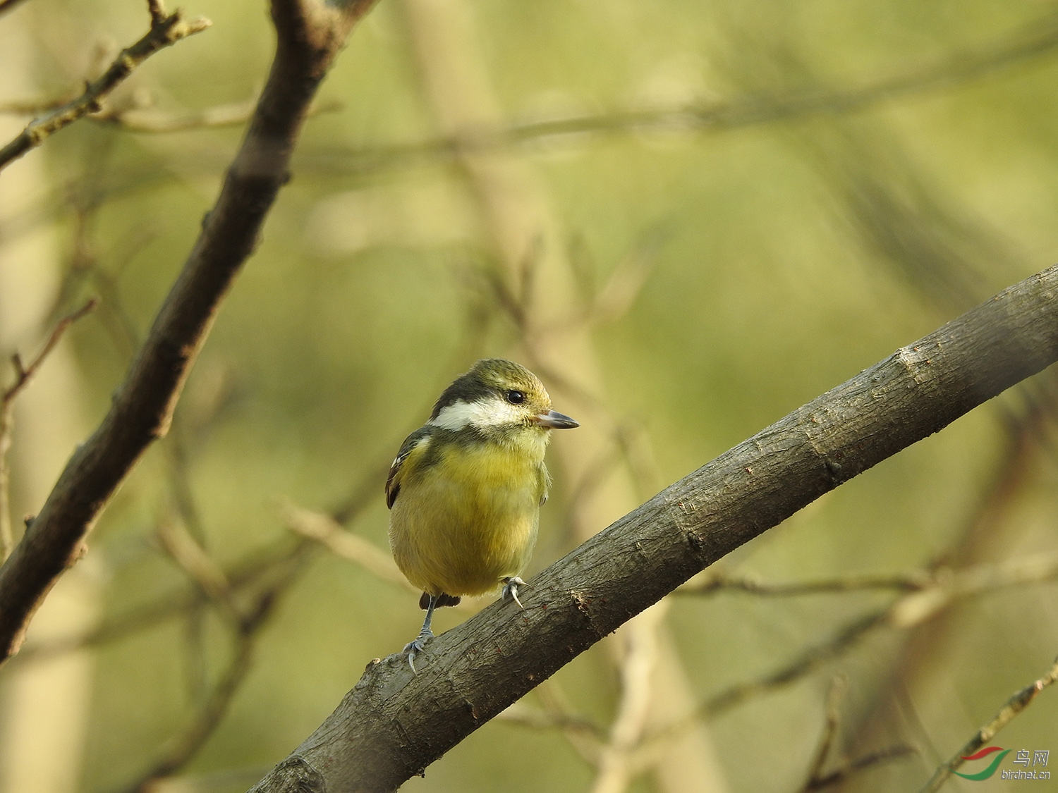 DSCN5440.jpg