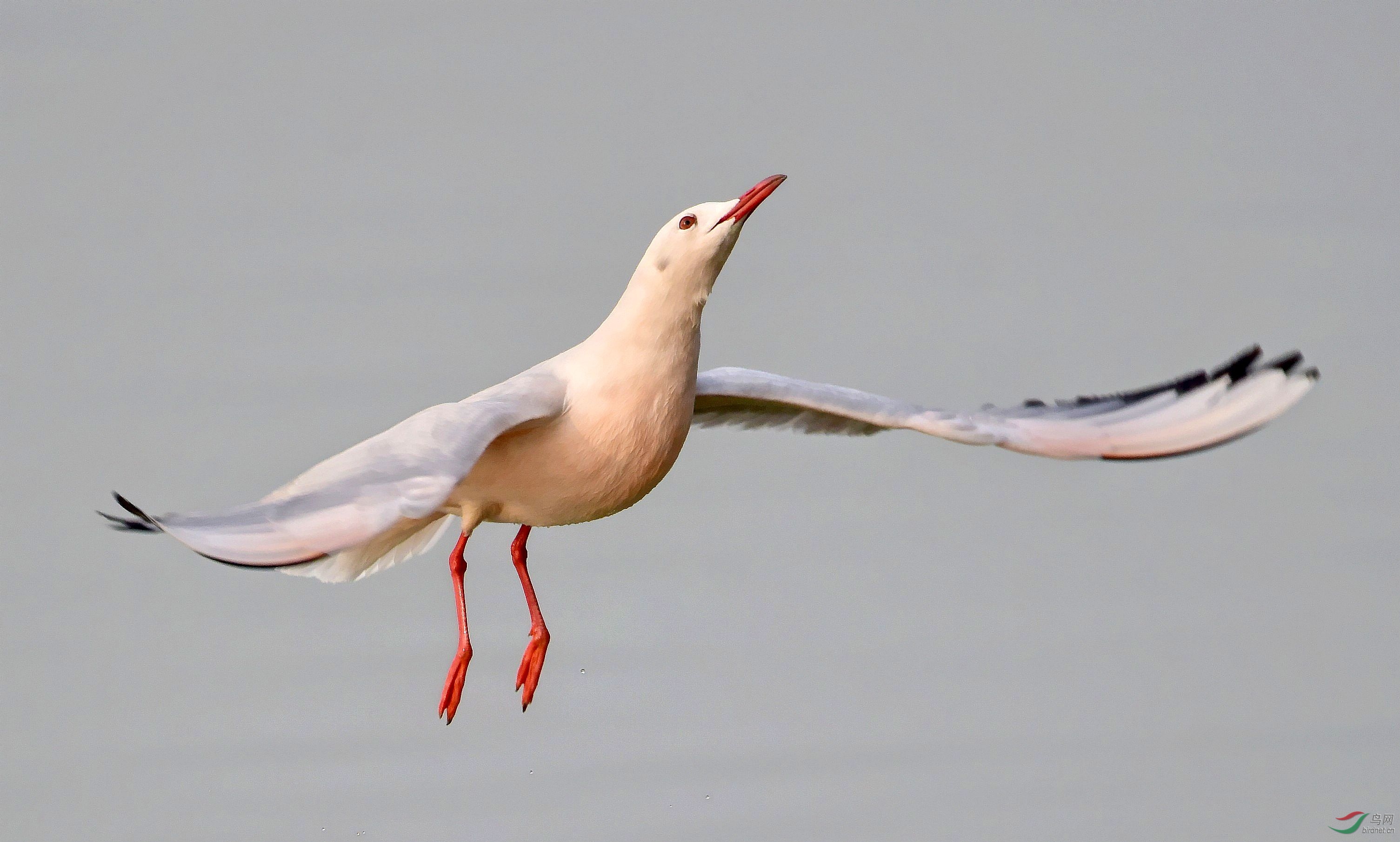 DSC_7753_conew3.jpg