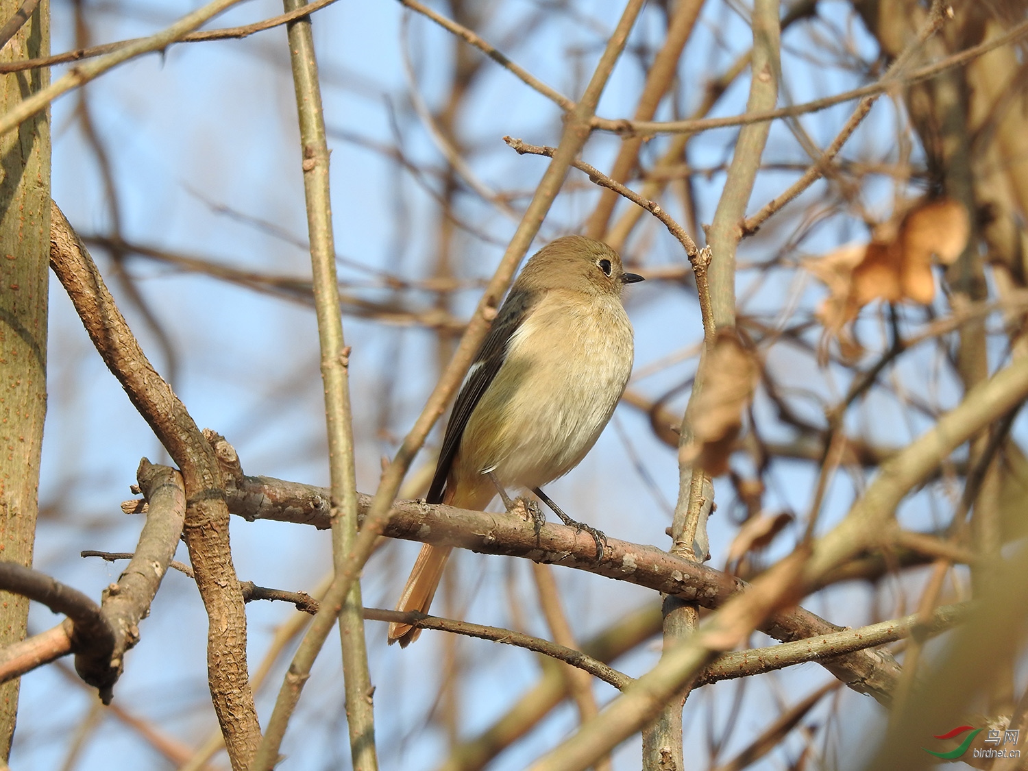 DSCN5544.jpg