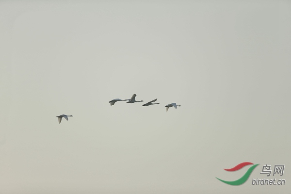 _E8J0516.jpg