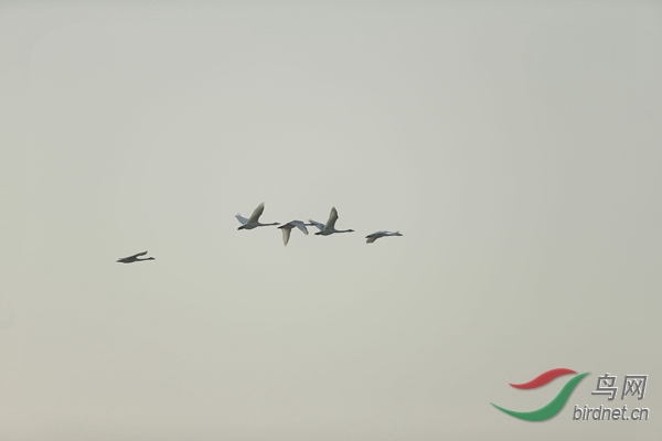_E8J0515.jpg