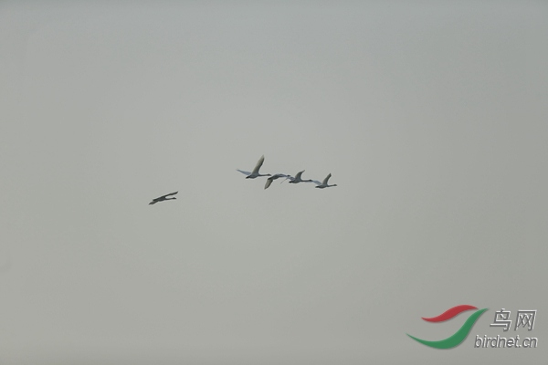 _E8J0519.jpg