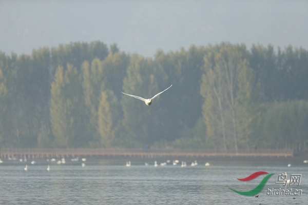 _E8J0555.jpg
