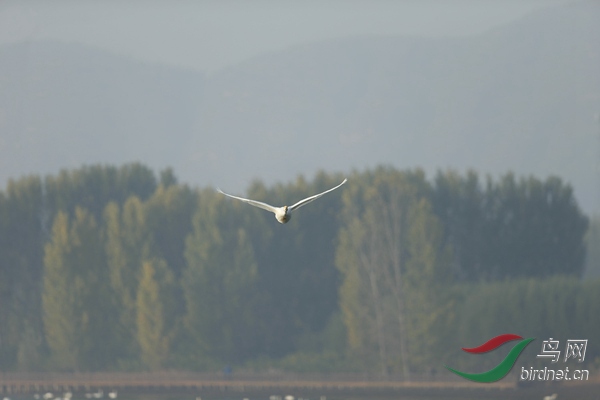_E8J0561.jpg