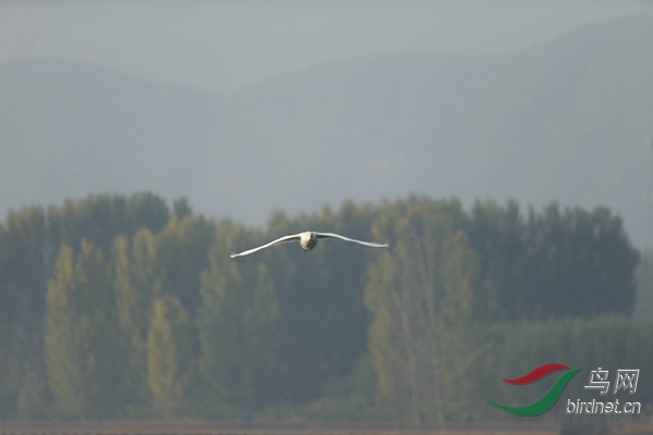 _E8J0562.jpg