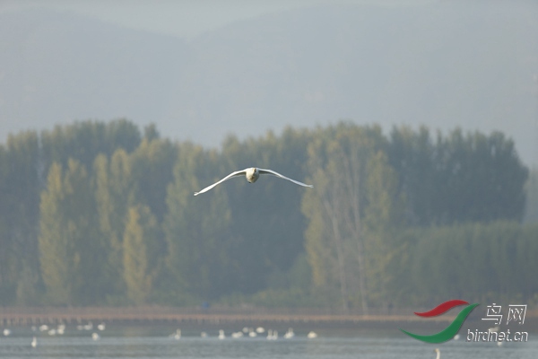 _E8J0559.jpg