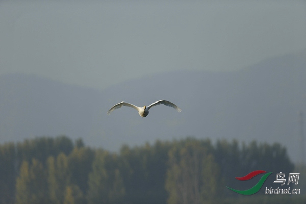 _E8J0570.jpg