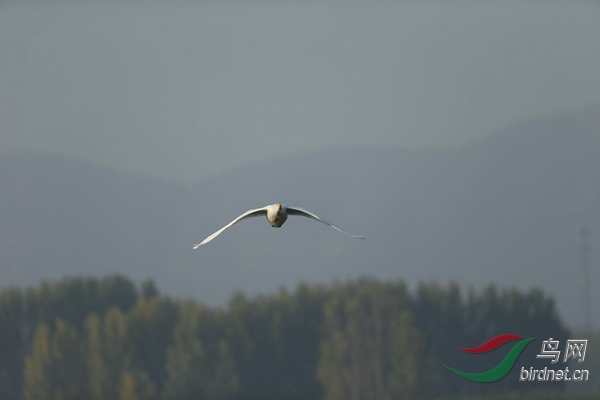 _E8J0572.jpg
